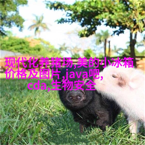 铆钉与销子