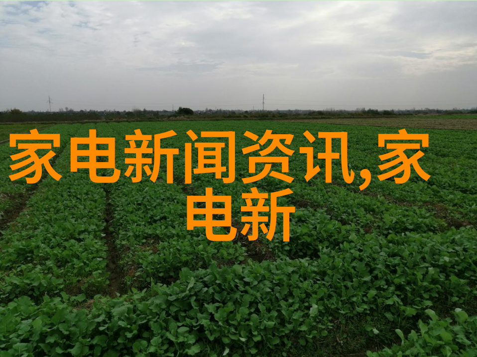 青春禁地揭秘18岁末年禁止观看的免费网站世界