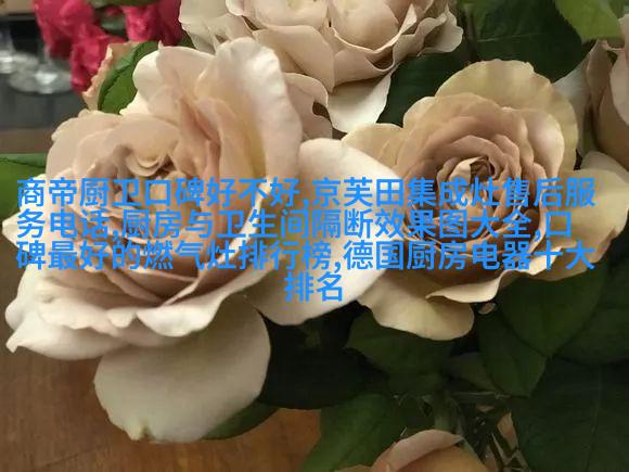 声学升级套装