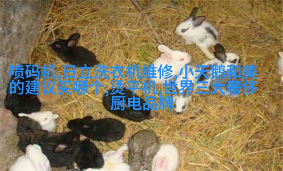 语音控制电饭煲