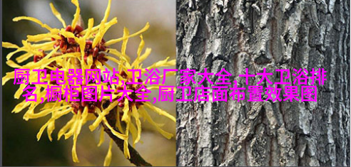 反应装置
