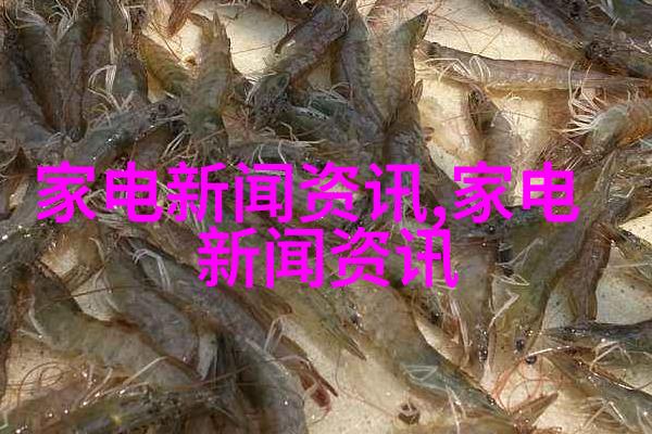 图4:多种型号闪光灯