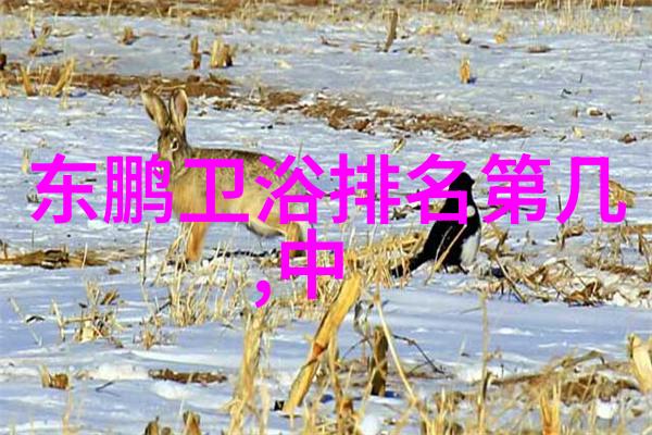 图1: 新型热交换器示意图