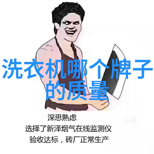 国产洗衣机什么品牌最好中国优质洗衣机制造商对比分析