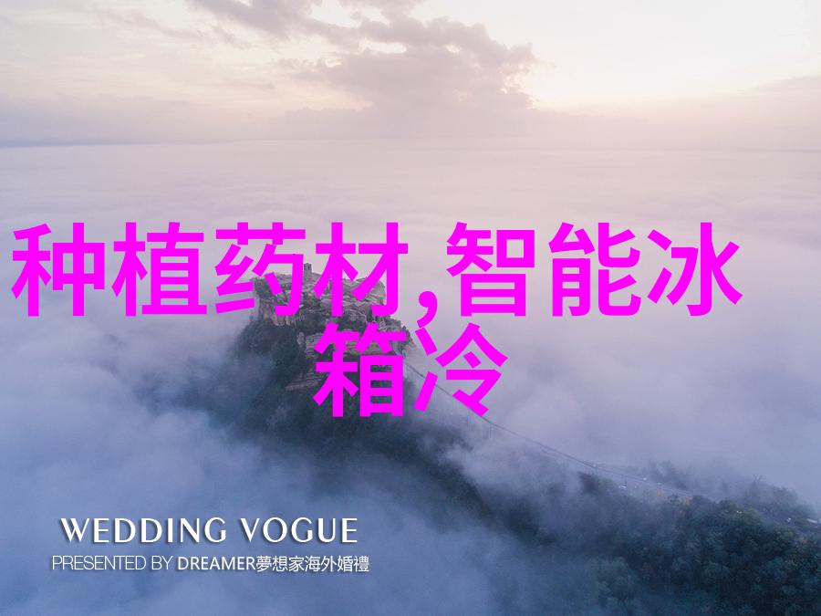 空调不制冷的奇异现象维修技巧与常见原因解析