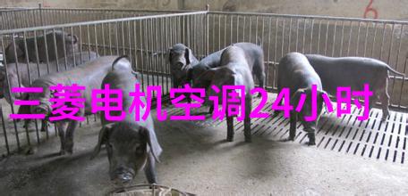 金黄色香脆的家常烤包秘籍