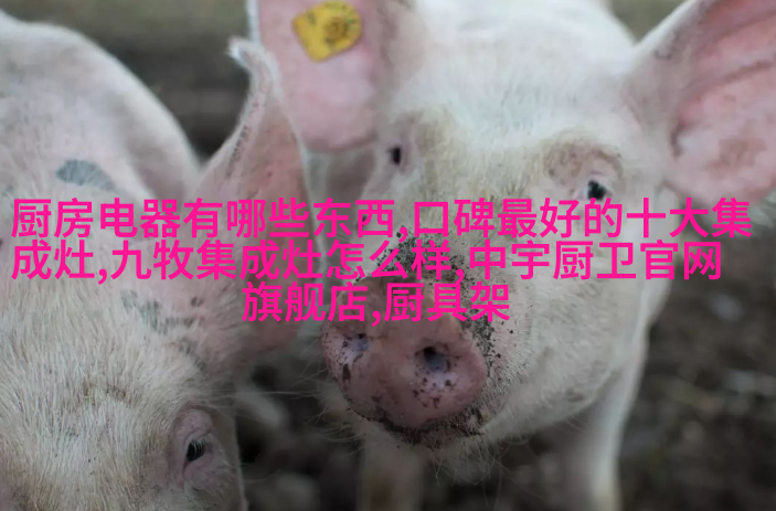 小户型加高天花板