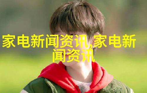 定制铝合金拉手门