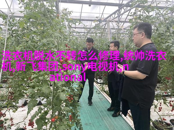 国际派对室内设计
