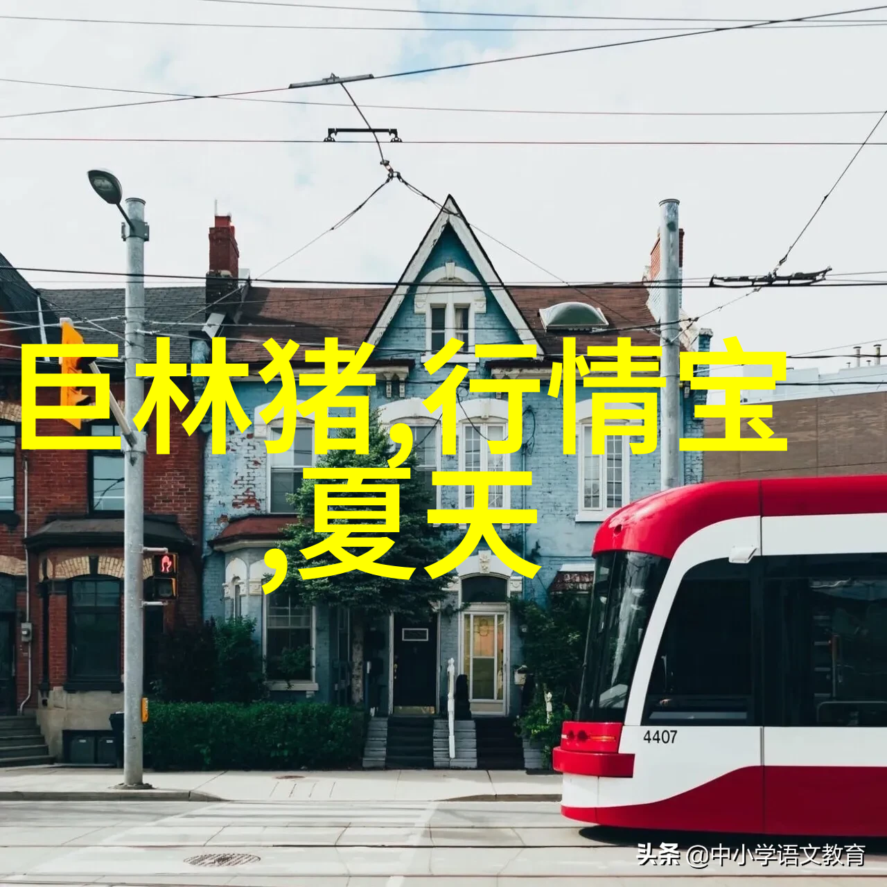 案例图