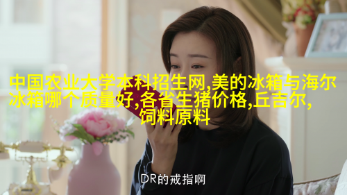 小厨房大菜单：打造高效整洁厨区