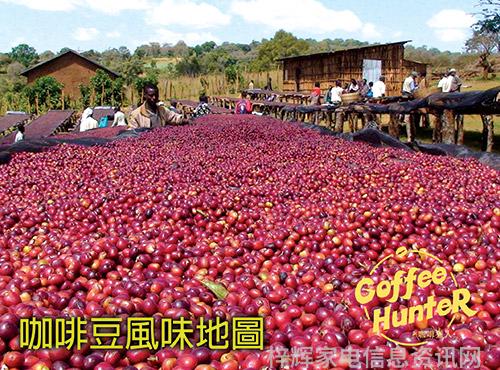 冰箱里的菜冰奇缘冰封的爱恋如何化解