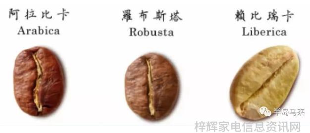 家电适老化之战美的海尔各有千秋